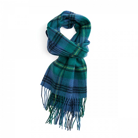 картинка Clans of Scotland Campbell Clan Ancient от магазина  Mykilt
